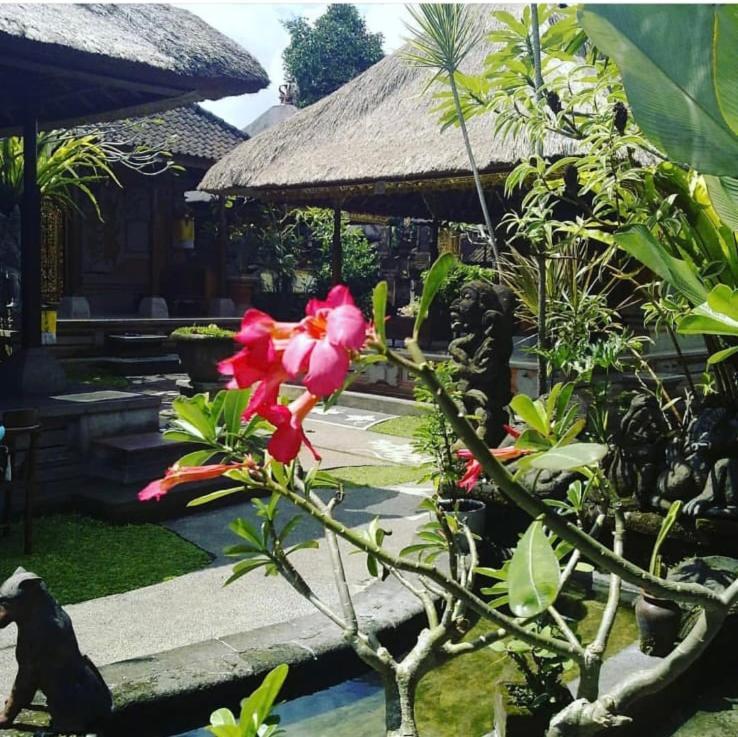 Family Guest House 우붓 외부 사진